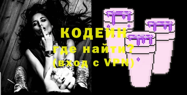 крисы Каменка