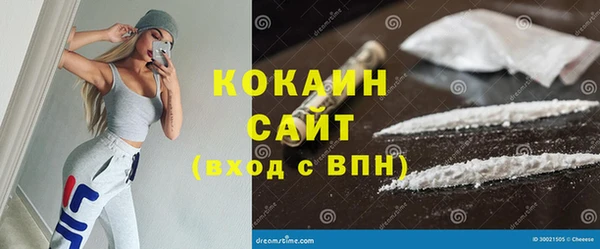 крисы Каменка