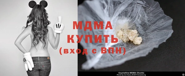 крисы Каменка