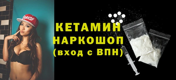 крисы Каменка