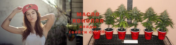 герыч Каменногорск
