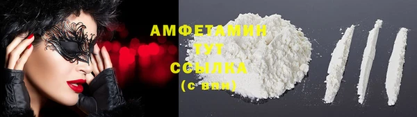 крисы Каменка