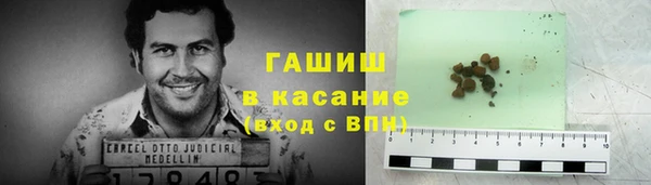 крисы Каменка