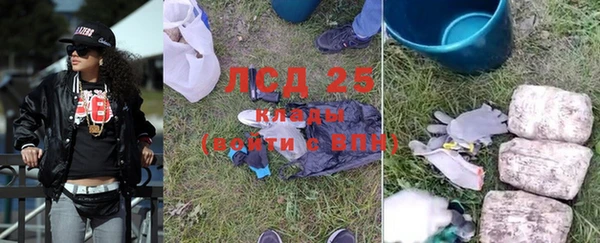 герыч Каменногорск
