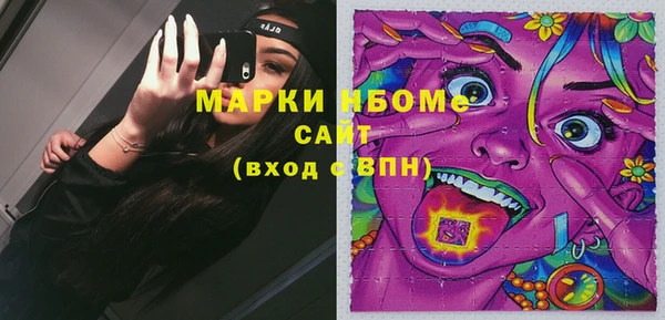 крисы Каменка