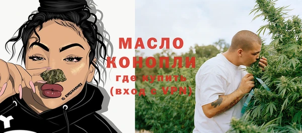 крисы Каменка