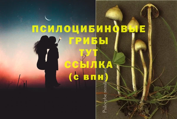 герыч Каменногорск