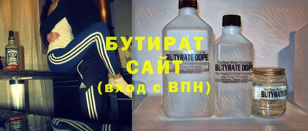 крисы Каменка